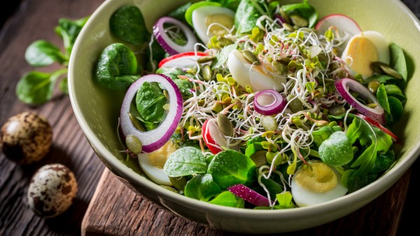 16. Tại sao nên tăng cường ăn salad rau xanh