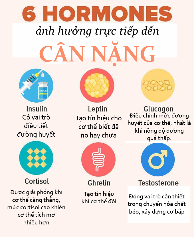 4. 6 hormone liên quan đến chuyện béo, gầy