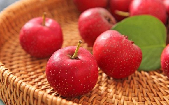 Quả táo gai là quả mọng chứa nhiều chất dinh dưỡng và có vị chua và vị ngọt nhẹ, có màu từ vàng đến đỏ đậm đến đen.