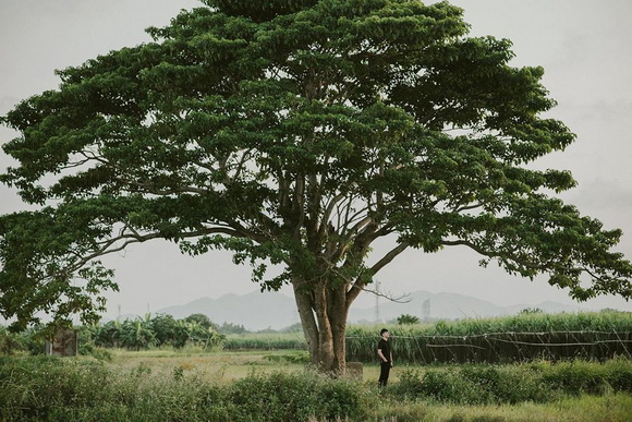 9.Ghé thăm Huế6