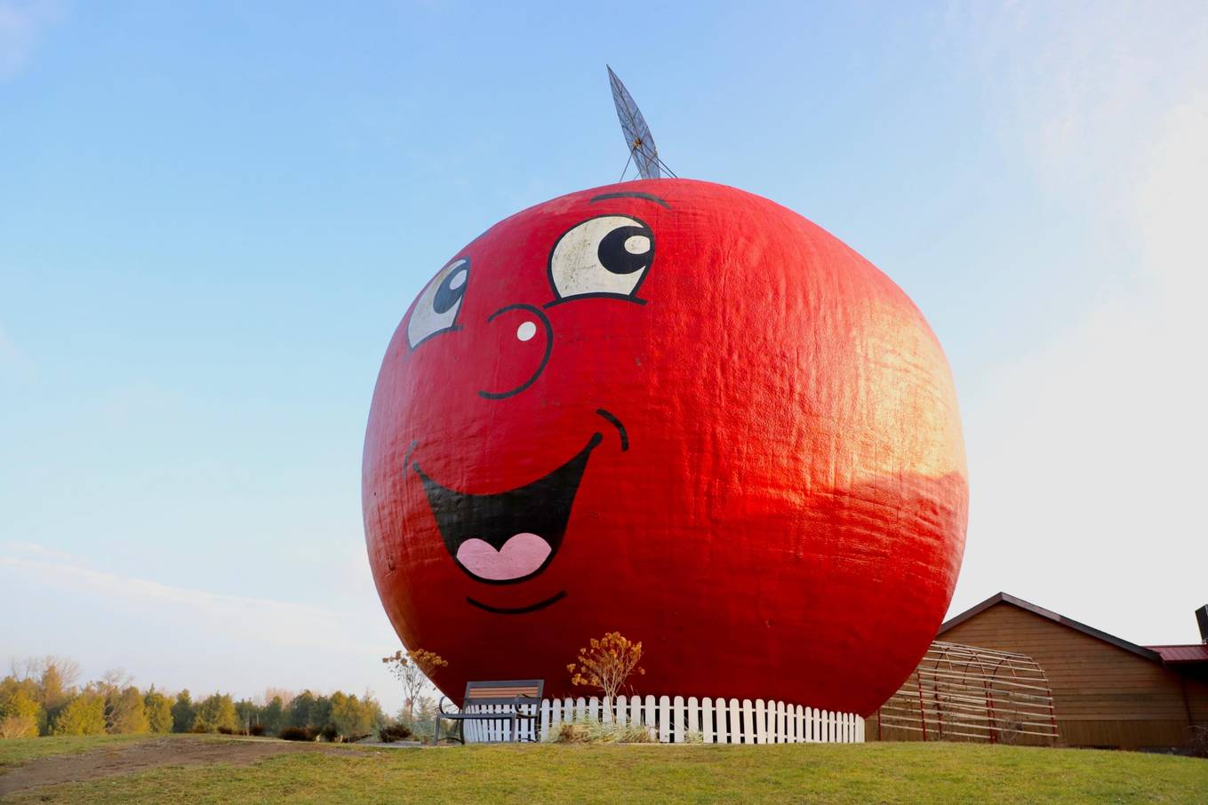 Tiệm bánh hình quả táo lớn nhất thế giới2