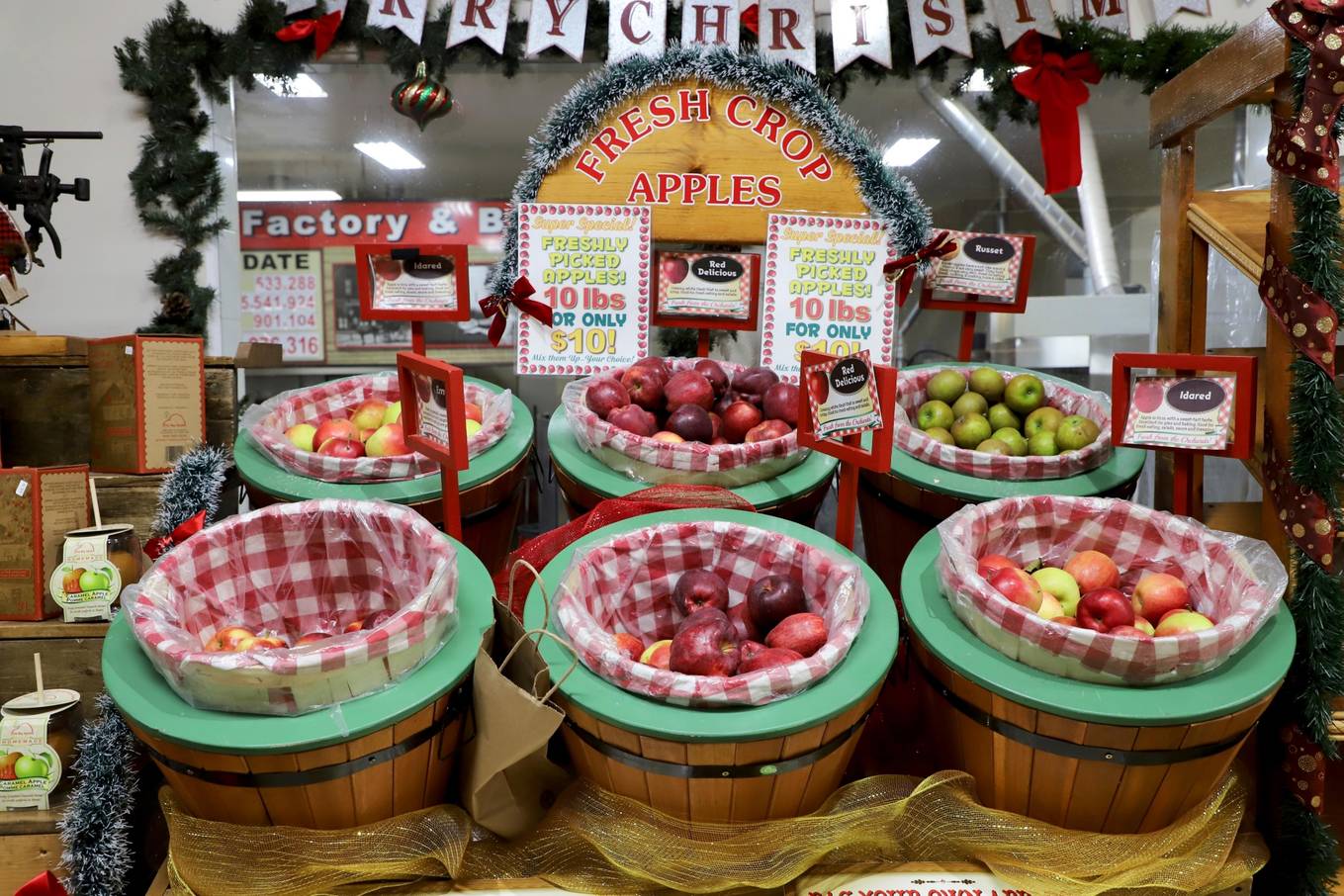 Tiệm bánh hình quả táo lớn nhất thế giới5
