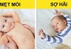 Mách bố mẹ cách “giải mã” ngôn ngữ cơ thể và tiếng khóc của trẻ sơ sinh