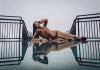 Người đẹp Hoa hậu Hoàn vũ Việt Nam tạo dáng cực chất tại Cầu kính Rồng Mây