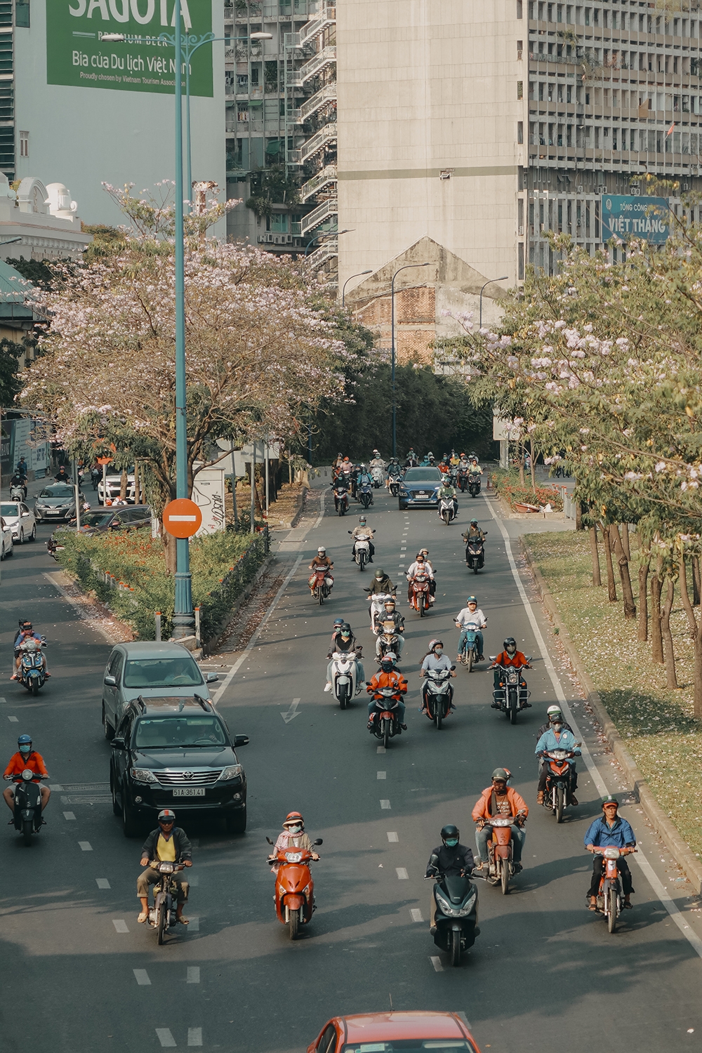 Ba điểm chụp ảnh hoa kèn hồng đẹp ở Sài Gòn3