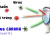 Virus corona (Covid-19) sống sót trong nhiệt độ bao nhiêu?