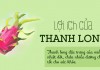 Lợi ích của ăn thanh long