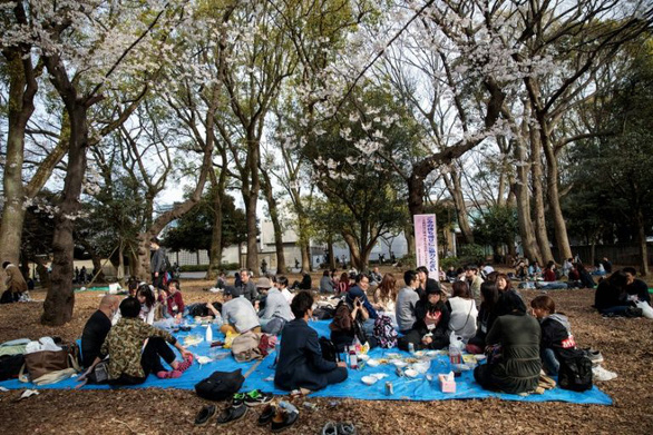 corona-nhat-hanami-03-afp-15849577364681767207724