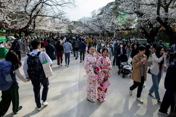 corona-nhat-hanami-05-afp-15849577364631857063377