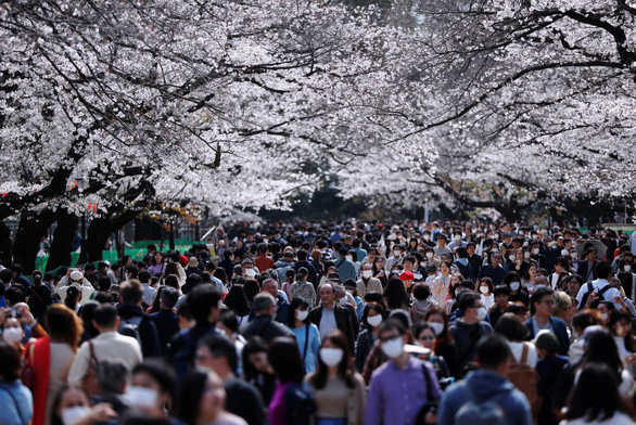 corona-nhat-hanami-ueno-reuters-15849577364821261103877