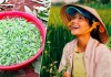 Đặc sản ‘hú hồn’ ở Đăk Lăk được H’Hen Niê yêu thích