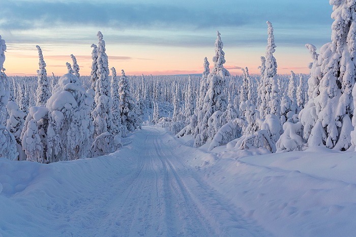 Winterlandscape with a winterroad with snowy trees in sunset in december in Gallivare, Swedish lapland, sweden, scandinavia