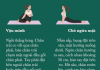 6 bài yoga kéo giãn cơ bắp, xả stress