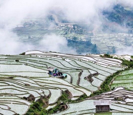 ‘Quên cả đường về’ khi đến Tây Bắc mùa nước đổ tháng 5