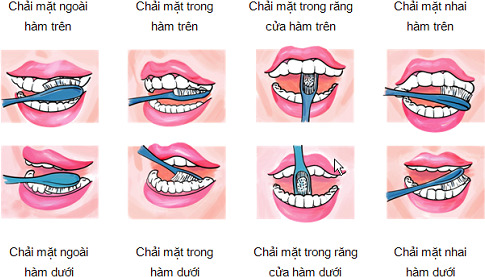 huong-dan-cach-danh-rang-dung-cach-15959943518531691176211-1596004423508-15960044237411894147002