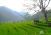 Tận hưởng cuộc sống ‘chỉ riêng mình ta’ ở Nậm Cang Lào Cai