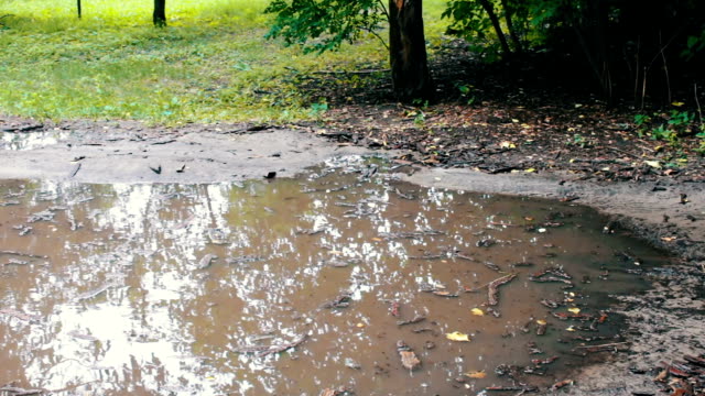 A huge dirty black puddle after the rain on the ground