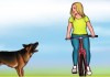 Cách xử lý khi vô tình gặp chó dữ
