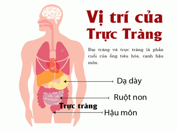 truc-trang-nam-o-dau-01-e1562561704867-1597727385094512203815