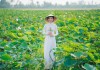 Những điểm đến miền Tây nhất định không nên bỏ qua khi du hí mùa thu này