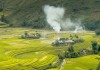 Lên Mù Cang Chải ngắm mùa vàng, thăm rừng trúc đẹp như phim kiếm hiệp