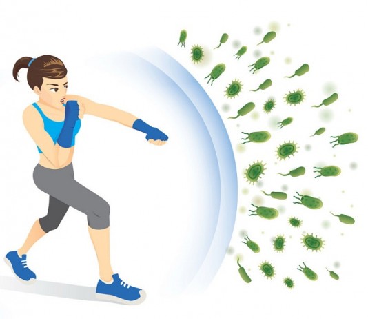 Kháng thể là gì? Cấu trúc và vai trò của kháng thể