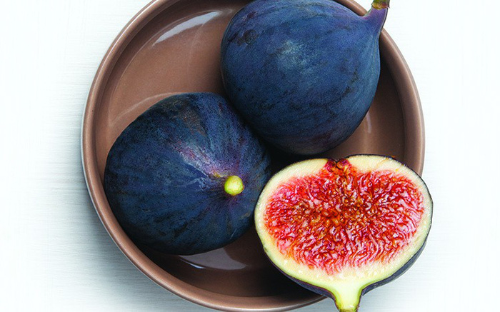 figs-1599821714544576213192