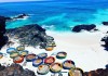 Vitamin “sea”, ngại gì “cô Vy”