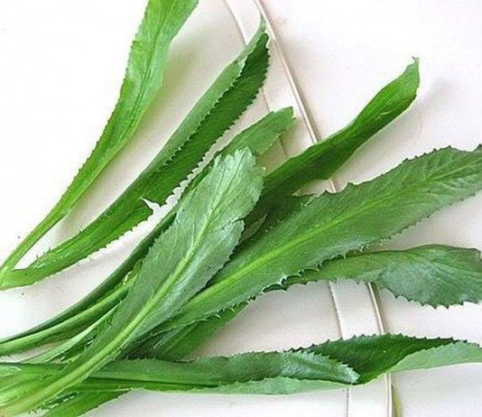 Mẹo chữa cúm hiệu quả bằng mùi tàu