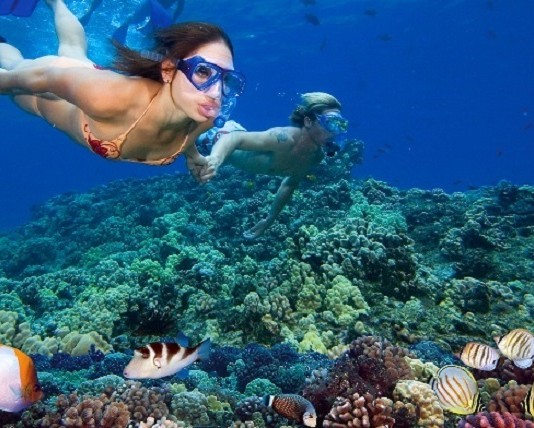 4 trải nghiệm ở Côn Đảo nên thử một lần trong đời