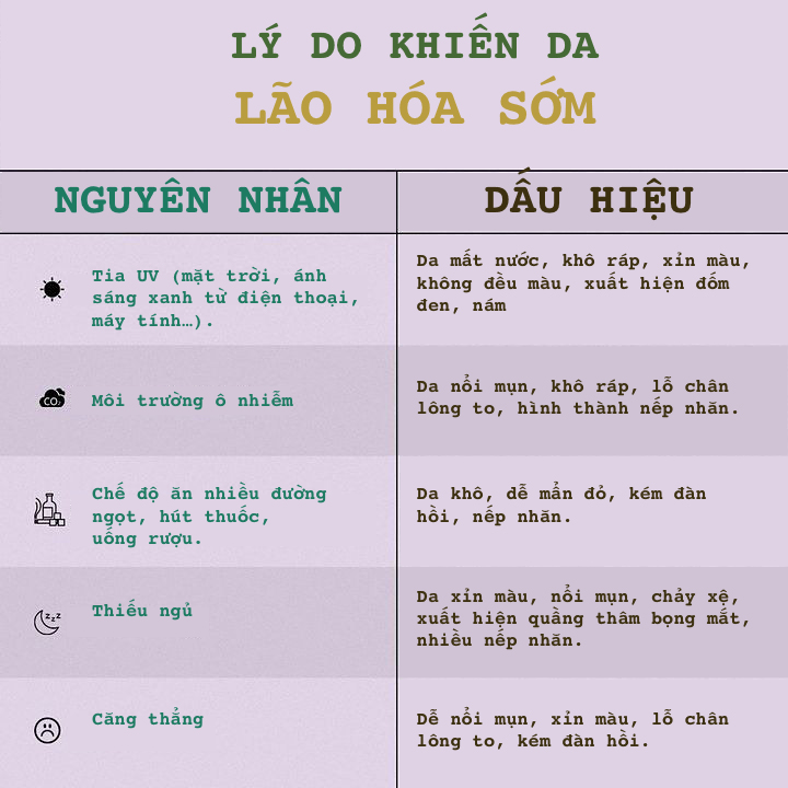 LAO HOA 1