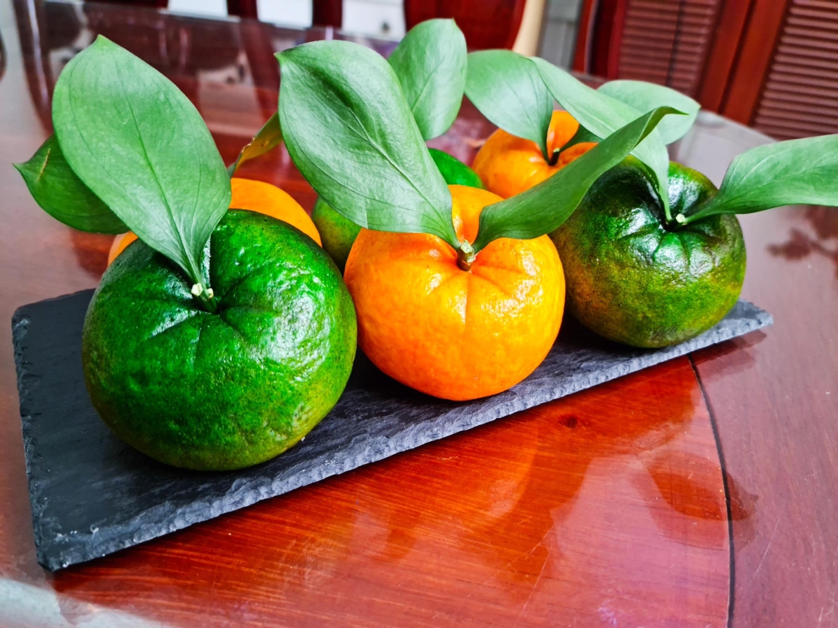 banh bao cam9